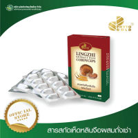 PHYTO GOLD สารสกัดเห็ดหลินจือผผสมถั่งเช่า 3x10 แคปซูล/กล่อง