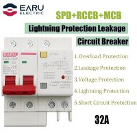 32A 2P SPD Residual Current Circuit Breaker With Overload Overvoltage RCBO RCCB With Lightning Protection MCB Leakage Protector Electrical Circuitry P