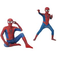 ✟✜✚ Spiderman Costume Far Home