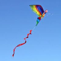 【cw】3D Kids Kite Toy Realistic Big Parrot Flying Game Outdoor Sport with 100m Line ！