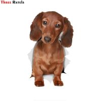 Three Ratels FTC-1070 3D Long Haired Dachshund Sausage Dog Car Sticker Decal For Wall  Toilet Room Luggage Skateboard Laptop Bumper Stickers Decals  M