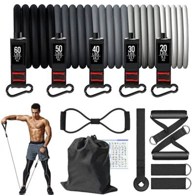 【CC】 12pcs Resistance Bands Set Workout Band Pull Rope Exercise Elastic Sport Tension