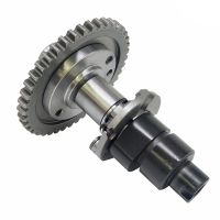 Camshaft Assy for CF500 ATV UTV Scooter 0180-024100 GO KART