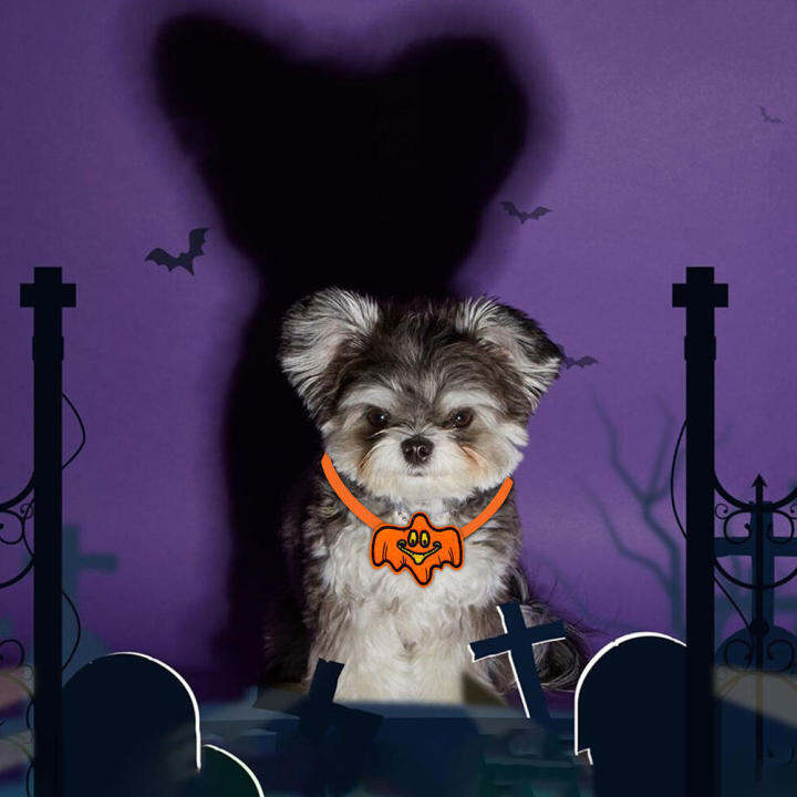 halloween-dog-collar-with-bell-pumpkin-themed-pet-accessories-kitty-dog-collar-with-bell-safety-buckle-pet-collar-pumpkin-patterned-dog-collar