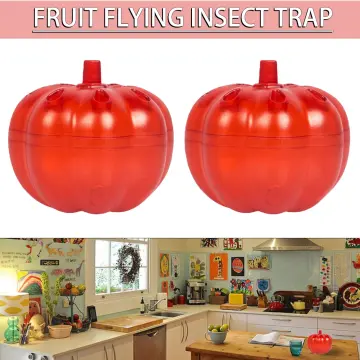 2Pcs Reusable Fruit Fly Traps Indoor Fly Trap for Home Kitchen Bottle Gnat  Traps