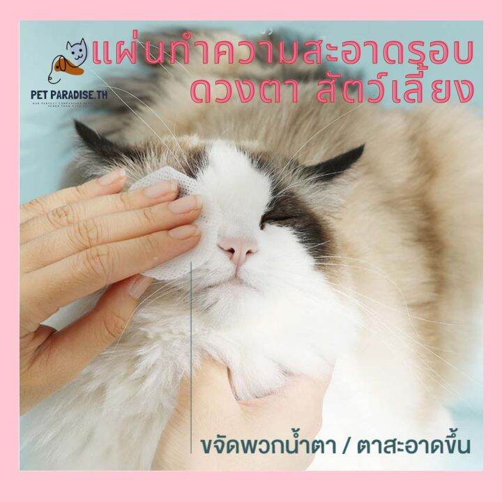 petparadise-th-เซตถุงมือ-ผ้าเช็ดฟัน-ผ้าเช็ดตา-สัตว์เลี้ยงแบบใช้แล้วทิ้ง-ดับกลิ่น-ดูแลผิวสุนัขและแมว-ถุงมือทำความสะอาด