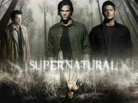 ภาพยนตร์ศิลปะของตกแต่งผนังบ้านโปสเตอร์ผ้าไหมพิมพ์ลาย Supernatural Us Tv Show Season 24X36นิ้ว0726