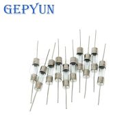 10PCS 5*20mm Fast break Ceramic fuse Slow Blow tube fuse With a pin 5x20mm 250V 1A 2A 3.15A 4A 5A 6.3A 10A 15A 20A WATTY Electronics