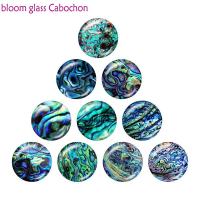 Tiger Shell Pattern 10pcs Mixed 12mm/18mm/20mm/25mm Round  Glass Cabochon Jewelry  Flat Back Making Findings B8543 Beads