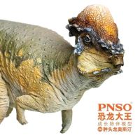 ? Genuine and exquisite model PNSO Dinosaur King 46 Pachycephalosaurus Austin Ancient Model Growth Accompanying Toys