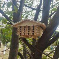 Bee Hive สำหรับสวน Handmade ธรรมชาติ Elderberry Bee โรงแรมแขวนแมลงโรงแรมสำหรับ Pollenator Bees Ladybugs ช่างไม้ Bee House