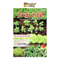 ผักอินทรีย์ ตลาดดี สร้างรายได้งาม