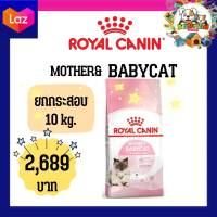 Royal Canin ลูกแมว / Mother &amp; Baby Cat 10kg ราคาถูกสุดสุด