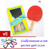 CHAMPION  TABLE TENNIS ไม้ปิงปองแชมป์เปี้ยน