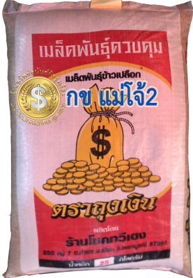 ส่งฟรี เมล็ดพันธุ์ข้าวเหนียว กข แม่โจ้2 (25 กก. ถุงเงิน)