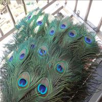 ❁℡✠ 10Pcs Natural Real Peacock Feathers 25-30CM/10-12inch Feathers for Crafts Wedding Feathers for Jewelry Making Decoration Plumas