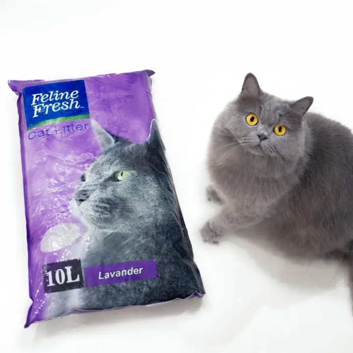 FELINE FRESH LAVENDER SCENT CAT LITTER 10L Lazada PH