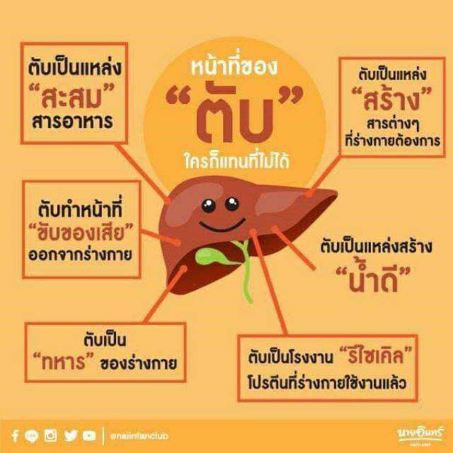 กิฟฟารีน-เลซิติน-ผสมแคโรทีนอยด์-อาหารเสริมเพื่อสุขภาพ-กิฟฟารีน-giffarine-lecithin-ขนาด-30-แคปซูล