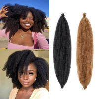 24 นิ้วถักโครเชต์สังเคราะห์ Pigtails Kinky Curly Braiding Pigtails Twist Hair Extensions Faux Locs เลดี้