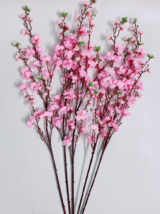 HCM] 5 Cành hoa anh đào giả 1m bằng vải trang trí Tết-hoa loại đẹp ...