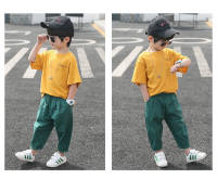 【Hi Baby】 Fashion Boy Cartoon Dinosaur Short Sleeve Set Korean Childrens Super Cotton Dinosaur Sports Two Piece Set