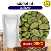 เมล็ดถั่วปากอ้า Broad beans อาหารนก กระต่าย หนู กระต่าย กระรอก ชูก้า และสัตว์ฟันแทะ สะอาดได้คุณภาพ (กระสอบ 25KG)