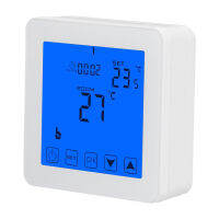 Digital Thermostat Convenient Installation 220V Real Time Display Boiler