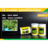 Hot Sale! เมล็ดพันธุ์ ENZA-กรีนคอส (ออติเกียร์) ผักสลัด สุดคุ้ม