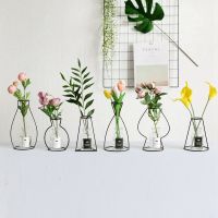 Metal Plant Holder Retro Iron Line Table Flowers Vases Nordic Decoration Home Styles Flower Vase with Glass Bottle