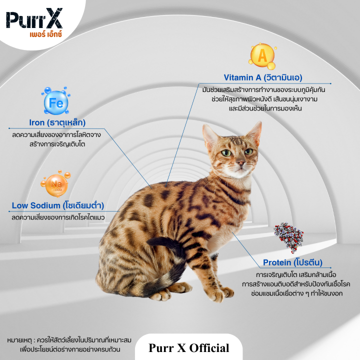 purr-x-ขนมฟรีซดรายแมวเกรดพรีเมียม-สูตรตับเป็ด-ขนาด-100-กรัม-freeze-dried-duck-liver-100-g-ขนมแมว-อาหารแมว