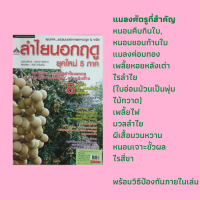 หนังสือเกษตร ลำไยนอกฤดูยุคใหม่ 5 ภาค : เทคนิคการปลูกลำไยนอกฤดู, เทคการปลูกลำไยทรงเตี้ยระยะชิด, เสริมรากลำไยเพิ่มผลผลิต