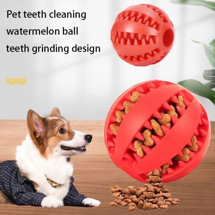 dt-hot-rubber-dog-chew-cleaning-treat-extra-tough-interactive-elasticity-for-accessories