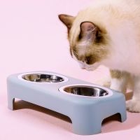 Double Cat Bowl With Stand Feeder for Cats Dogs Stainless Steel Dog Food Water Feeder Puppy Food Container Water Product