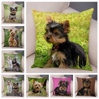 【CW】 Cushion Cover MINI Yorkshire Dog Soft Pillowcase Printed for Sofa Car 45x45cm