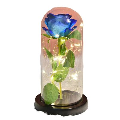 Rose Gift Decoration Rose Artificial Rose Gift LED Lamp String Preserved Rose Unique Valentines Day Anniversary