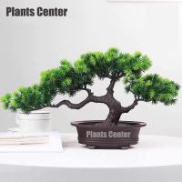 Plants Center พร้อมส่ง?P018 ต้นบอนไซเทียม ต้นสนมงคล พร้อมกระถาง  ต้นไม้มงคล ต้นไม้ตกแต่งบ้าน แต่งสวน