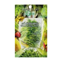 เมล็ดพันธุ์ ต้นอ่อนผักบุ้ง กรีน การ์เด้นWATER CONVOLVULUS SPROUT SEED GREEN GARDEN 15G **ขายดีที่สุด**