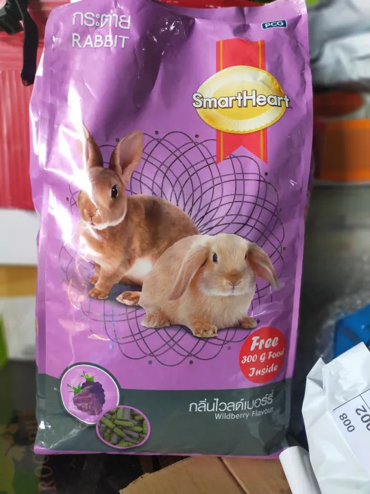 Rabbit Favorite Food 250 grams only | Lazada PH