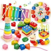 Montessori Games Baby Toys 3D Wooden Puzzles For Kids Learning Toys Educational Wooden Toys For Children 1 2 3 Years Old