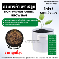 กระถางผ้า non-woven fabric grow bag สีขาว กระถางเพาะต้นไม้ กระถางผ้าปลูกต้นไม้ ถุงปลูกต้นไม้ กระถางต้นไม้