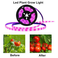 Angelila ไฟ Grow LED แบบเต็มสเปกตรัม5V USB โคมไฟ Grow ปลูกพืชพร้อมไฟ LED สีชมพูสำหรับปลูกต้นไม้ในร่มเมล็ดพันธุ์เริ่มต้นต้นกล้าผักพริกไทยและอื่นๆ