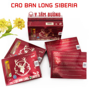 Cao ban long Siberia