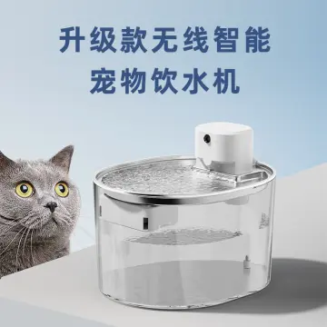 The Best Water Fountain for Cats and Dogs in 2024