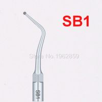 2ชิ้น SB1 Scaler เคล็ดลับเครื่องมือสำหรับทันตแพทย์ฟันไวท์เทนนิ่งเครื่องมือทันตกรรมอัลตราโซนิก Scaler ทันตกรรมเคล็ดลับสำหรับ EMS และนกหัวขวาน