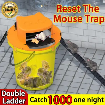 Rat trap with plastic bucket