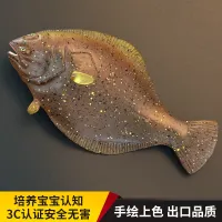 Childrens solid simulation marine animal toy model flounder ray-finned fish static cognitive gift decoration