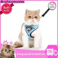 Cat Accessories สายจูงแมว สายจูงลุกแมว Harbour54 อุปกรณ์แมว สายจูงแบบผ้าคาดหน้าอก รุ่น ฮาโบร์ มีให้เลือก 2สี 2ขนาด