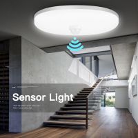 Night Light Motion Sensor Smart Ceiling Chandelier LED Hanging Top Lights Lustre Home Appliances Ceiling Lamp Corridor Stair Night Lights