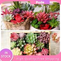 กระบองเพชรพลาสติกไม้อวบน้ำประดิษฐ์ต้นไม้ปลอมแบบ DIY สวนสดใสแบบมีสีสัน