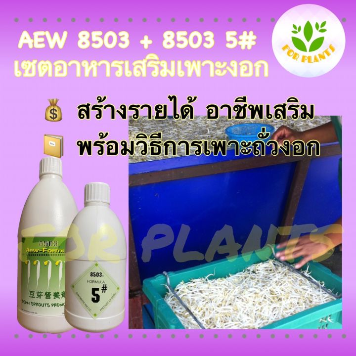 forplants-8503-เซต-ฮอร์โมน8503-ขวดใหญ่1000cc-พร้อม-8503-5-ขวดเล็ก-500cc-รวม2ชิ้น-ฮอร์โมนเพาะงอก-ฮอร์โมนถั่วงอก-เพาะถั่วงอก-ถั่วงอกอ้วน-ถั่วงอกรากสั้น